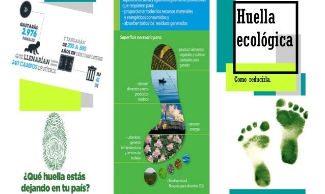 Cómo crear y visualizar un tríptico