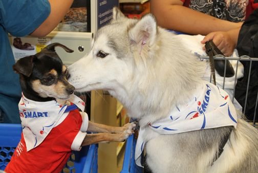 tienda de mascotas